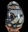 Septarian Dragon Egg Geode - Black Crystals #72055-3